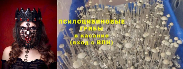 СК Алзамай