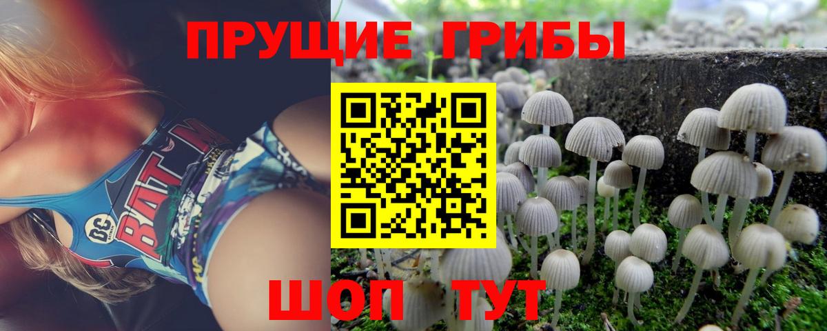 Лениногорск  Кокаин  Вход с VPN  Гашиш  Мефедрон   ГАШИШ  Марихуана 