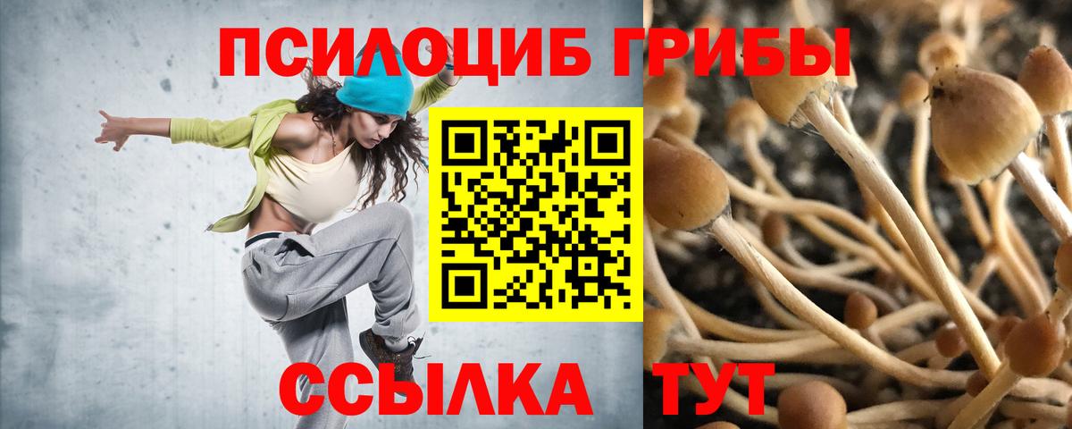 Лениногорск  Галлюциногенные грибы MAGIC MUSHROOMS  Галлюциногенные грибы прущие грибы  Вход с VPN 