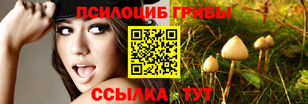 Галлюциногенные грибы GOLDEN TEACHER Лениногорск