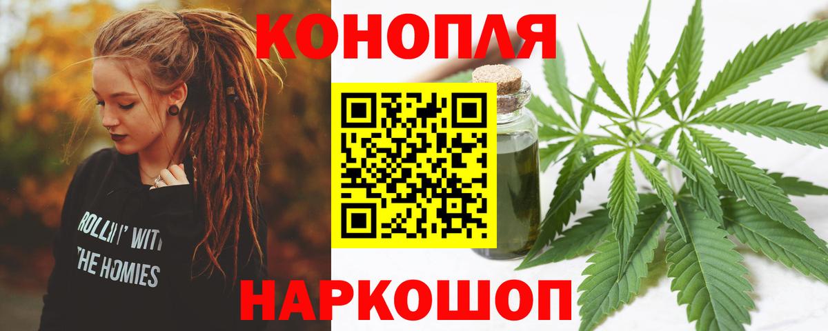 Конопля сатива Лениногорск